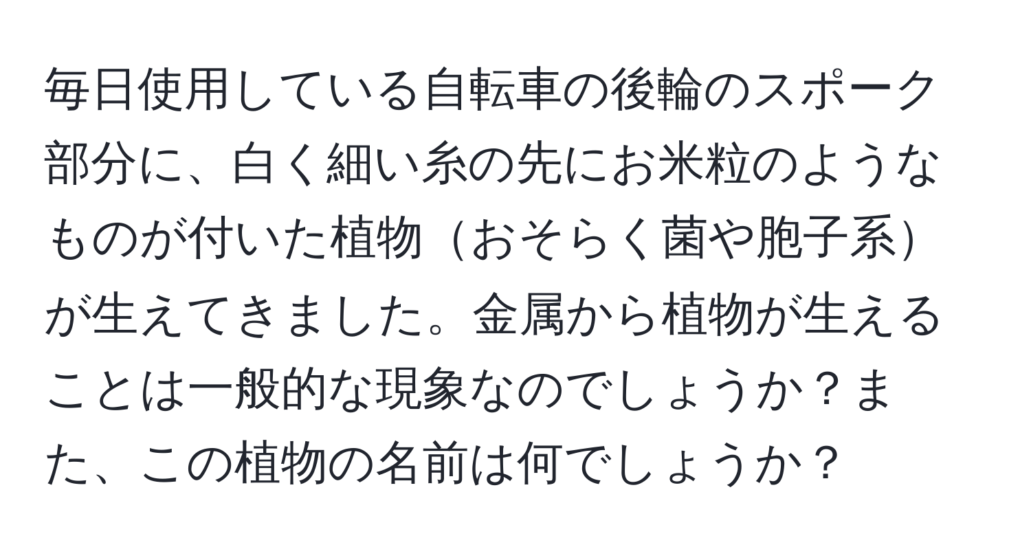 毎日使用している自転車の後輪のスポーク部分に、白く細い糸の先にお米粒のようなものが付いた植物おそらく菌や胞子系が生えてきました。金属から植物が生えることは一般的な現象なのでしょうか？また、この植物の名前は何でしょうか？