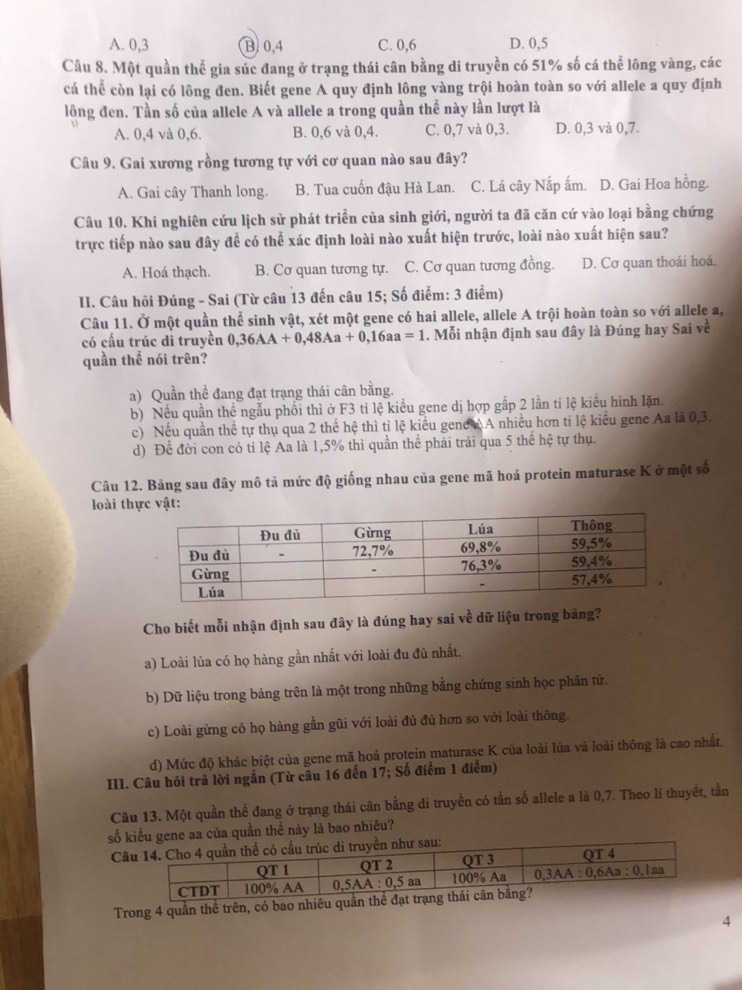 A. 0,3 B 0,4 C. 0,6 D. 0,5
Câu 8. Một quần thể gia súc đang ở trạng thái cân bằng di truyền có 51% số cá thể lông vàng, các
cá thể còn lại có lông đen. Biết gene A quy định lông vàng trội hoàn toàn so với allele a quy định
lông đen. Tần số của allele A và allele a trong quần thể này lần lượt là
A. 0,4 và 0,6. B. 0,6 và 0,4. C. 0,7 và 0,3. D. 0,3 và 0,7.
Câu 9. Gai xương rồng tương tự với cơ quan nào sau đây?
A. Gai cây Thanh long. B. Tua cuốn đậu Hà Lan. C. Lá cây Nấp ấm. D. Gai Hoa hồng.
Câu 10. Khi nghiên cứu lịch sử phát triển của sinh giới, người ta đã căn cứ vào loại bằng chứng
trực tiếp nào sau đây để có thể xác định loài nào xuất hiện trước, loài nào xuất hiện sau?
A. Hoá thạch. B. Cơ quan tương tự. C. Cơ quan tương đồng. D. Cơ quan thoái hoá.
II. Câu hỏi Đúng - Sai (Từ câu 13 đến câu 15; Số điểm: 3 điểm)
Câu 11. Ở một quần thể sinh vật, xét một gene có hai allele, allele A trội hoàn toàn so với allele a,
có cấu trúc di truyền 0,36AA+0,48Aa+0,16aa=1. Mỗi nhận định sau đây là Đúng hay Sai về
quần thể nói trên?
a) Quần thể đang đạt trạng thái cân bằng.
b) Nếu quần thể ngẫu phối thì ở F3 tỉ lệ kiểu gene dị hợp gấp 2 lần tỉ lệ kiểu hình lặn.
c) Nếu quần thể tự thụ qua 2 thế hệ thì tỉ lệ kiều gene AA nhiều hơn tỉ lệ kiểu gene Aa là 0,3.
d) Để đời con có tỉ lệ Aa là 1,5% thì quần thể phải trải qua 5 thế hệ tự thụ.
Câu 12. Bảng sau đây mô tả mức độ giống nhau của gene mã hoá protein maturase K ở một số
loài thực vật:
Cho biết mỗi nhận định sau đây là đúng hay sai về dữ liệu trong bảng?
a) Loài lúa có họ hàng gần nhất với loài đu đù nhất.
b) Dữ liệu trong bảng trên là một trong những bằng chứng sinh học phân tử.
c) Loài gừng có họ hàng gần gũi với loài đủ đủ hơn so với loài thông.
d) Mức độ khác biệt của gene mã hoá protein maturase K của loài lúa và loài thông là cao nhất.
III. Câu hỏi trả lời ngắn (Từ câu 16 đến 17; Số điểm 1 điểm)
Câu 13. Một quần thể đang ở trạng thái cân bằng di truyền có tần số allele a là 0,7. Theo li thuyết, tần
số kiểu gene aa của quần thể này là bao nhiêu?
C
Trong 4 quần thể trên, có bao nhiêu quần thể
4