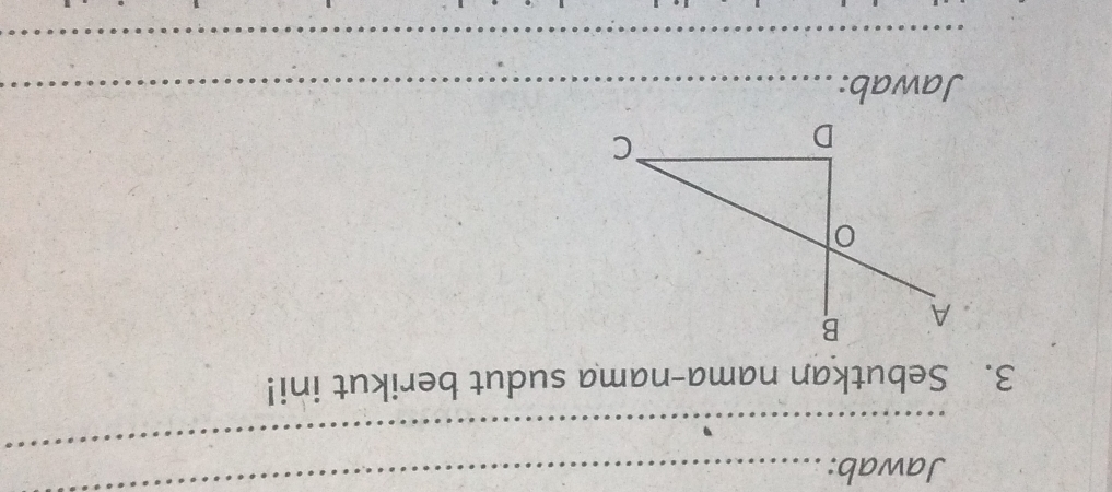 Jawab:_ 
_ 
_ 
_ 
3. Sebutkan nama-nama sudut berikut ini! 
A B
o 
D 
C 
Jawab:_ 
_