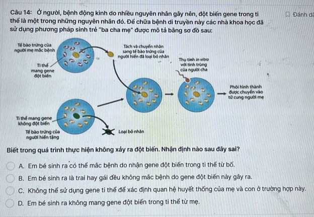 Ở người, bệnh động kinh do nhiều nguyên nhân gây nên, đột biến gene trong ti
thể là một trong những nguyên nhân đó. Đế chữa bệnh di truyền này các nhà khoa học đã Đánh dã
sử dụng phương pháp sinh trẻ "ba cha mẹ" được mô tả bằng sơ đồ sau:
Biết trong quá trình thực hiện không xảy ra đột biến. Nhận định nào sau đây sai?
A. Em bé sinh ra có thế mắc bệnh do nhận gene đột biến trong ti thế từ bố.
B. Em bé sinh ra là trai hay gái đều không mắc bệnh do gene đột biến này gây ra.
C. Không thế sử dụng gene ti thế để xác định quan hệ huyết thống của mẹ và con ở trường hợp này.
D. Em bé sinh ra không mang gene đột biến trong ti thể từ mẹ.