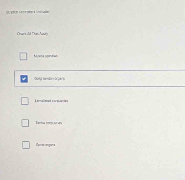 Stretch receptors include
Check All That Apply
Muscle spindles
Golgi tendon organs
Lamellated corpuscles
Tacttle corpuscles
Spiral organs