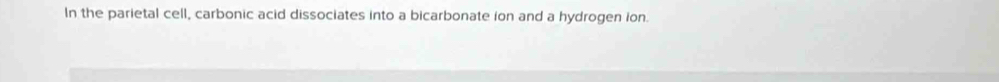 In the parietal cell, carbonic acid dissociates into a bicarbonate ion and a hydrogen ion.