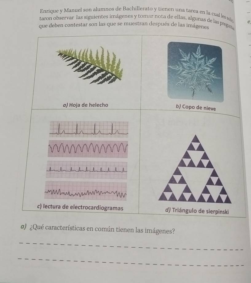 Enrique y Manuel son alumnos de Bachillerato y tienen una tarea en la cual les solic.
taron observar las siguientes imágenes y tomar nota de ellas, algunas de las pregunt
e
que deben contestar son las que se muestran después de las imágenes
α) Hoja de helecho
Copo de nieve
c) lectura de electrocardiogramas d) Triángulo de sierpinski
α) ¿Qué características en común tienen las imágenes?
_
_