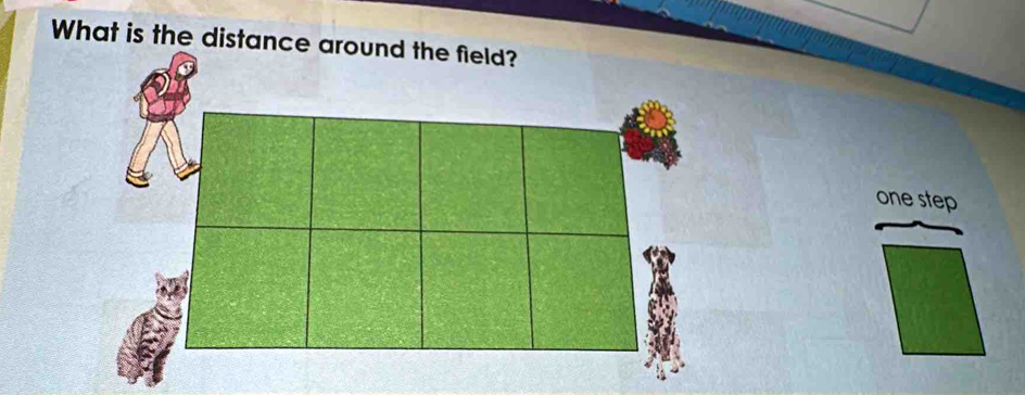 What is the distance around the field? 
one step