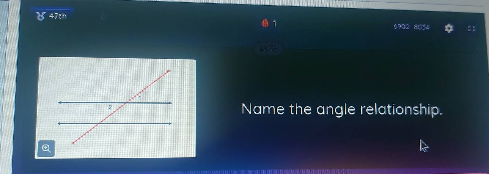 47th 
1
6902 8034
Name the angle relationship.