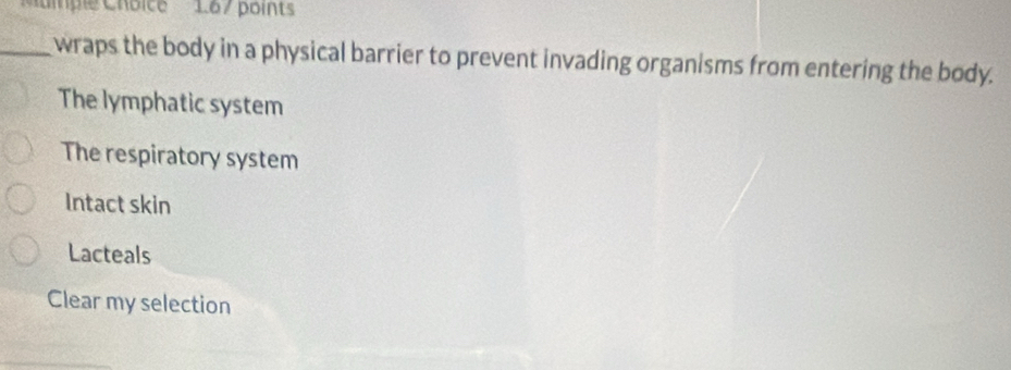 uiple Choice 1.67 points
_wraps the body in a physical barrier to prevent invading organisms from entering the body.
The lymphatic system
The respiratory system
Intact skin
Lacteals
Clear my selection