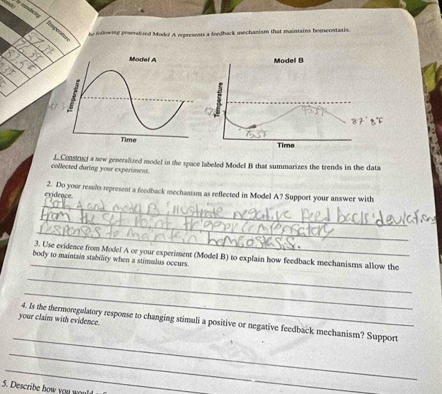 ly intodacin 
Temperatur 
he following generalized Model A represents a feedback mechanism that maintains homeostasis. 
L Construct a new generalized model in the space labeled Model B that summarizes the trends in the data 
collected during your experiment. 
2. Do your results represent a feedback mechanism as reflected in Model A? Support your answer with 
evidence. 
_ 
_ 
_ 
_ 
3. Use evidence from Model A or your experiment (Model B) to explain how feedback mechanisms allow the 
body to maintain stability when a stimulus occurs. 
_ 
_ 
your claim with evidence. 
_ 
4. Is the thermoregulatory response to changing stimuli a positive or negative feedback mechanism? Support 
_ 
_ 
5. Describe how you would