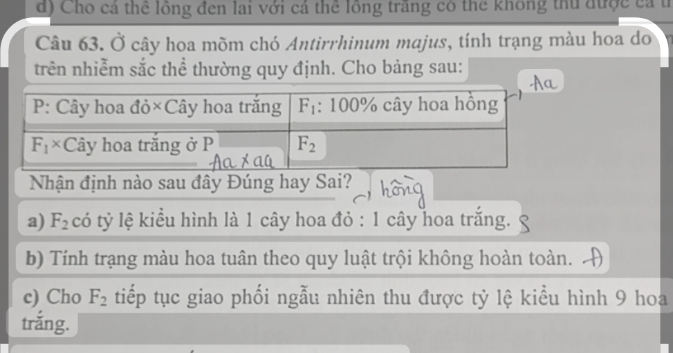 đ) Cho cả thể lồng đen lai với cá thể lồng trăng có thể không thủ được cả t
Câu 63. Ở cây hoa mõm chó Antirrhinum majus, tính trạng màu hoa do
trên nhiễm sắc thể thường quy định. Cho bảng sau:
Nhận định nào sau đây Đúng hay Sai?
a) F_2 có tỷ lệ kiểu hình là 1 cây hoa đỏ : 1 cây hoa trắng.
b) Tính trạng màu hoa tuân theo quy luật trội không hoàn toàn.
c) Cho F_2 tiếp tục giao phối ngẫu nhiên thu được tỷ lệ kiểu hình 9 hoa
trắng.