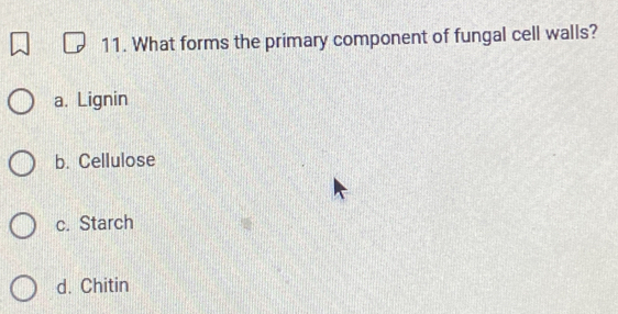 What forms the primary component of fungal cell walls?
a. Lignin
b. Cellulose
c. Starch
d. Chitin