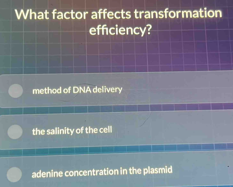 What factor affects transformation
efficiency?
method of DNA delivery
the salinity of the cell
adenine concentration in the plasmid