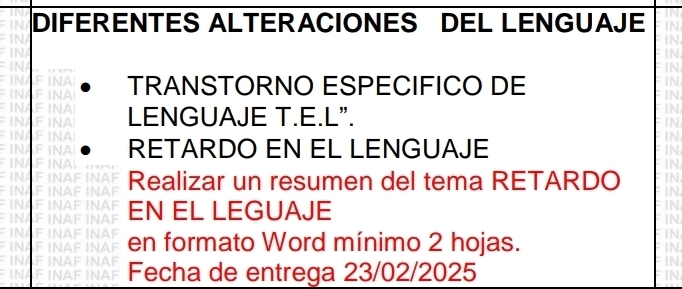 DIFERENTES ALTERACIONES DEL LENGUAJE 
TRANSTORNO ESPECIFICO DE 
LENGUAJE T.E.L". 
NA 
INA RETARDO EN EL LENGUAJE 
FI Realizar un resumen del tema RETARDO 
finA 
AF INA 
n NA EN EL LEGUAJE 
I 

In AFINA en formato Word mínimo 2 hojas. 
Fecha de entrega 23/02/2025