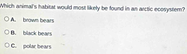 Which animal's habitat would most likely be found in an arctic ecosystem?
A. brown bears
B. black bears
C. polar bears