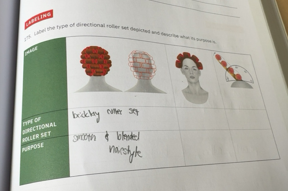Solved: LABELING _ 175. Label the type of directional roller set ...
