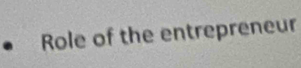 Role of the entrepreneur