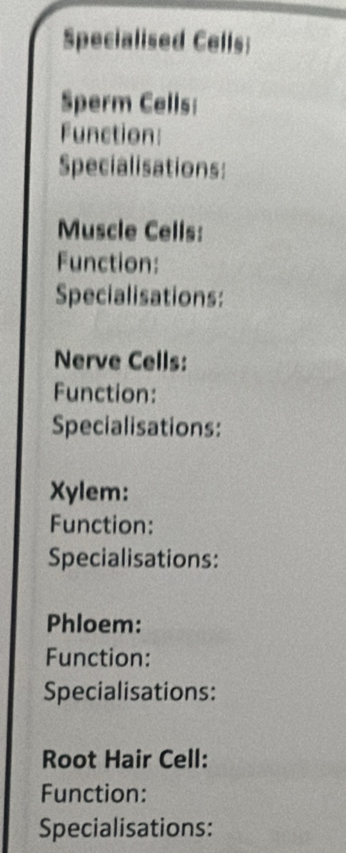 Specialised Cells; 
Sperm Cells: 
Function: 
Specialisations: 
Muscle Cells: 
Function: 
Specialisations: 
Nerve Cells: 
Function: 
Specialisations: 
Xylem: 
Function: 
Specialisations: 
Phloem: 
Function: 
Specialisations: 
Root Hair Cell: 
Function: 
Specialisations: