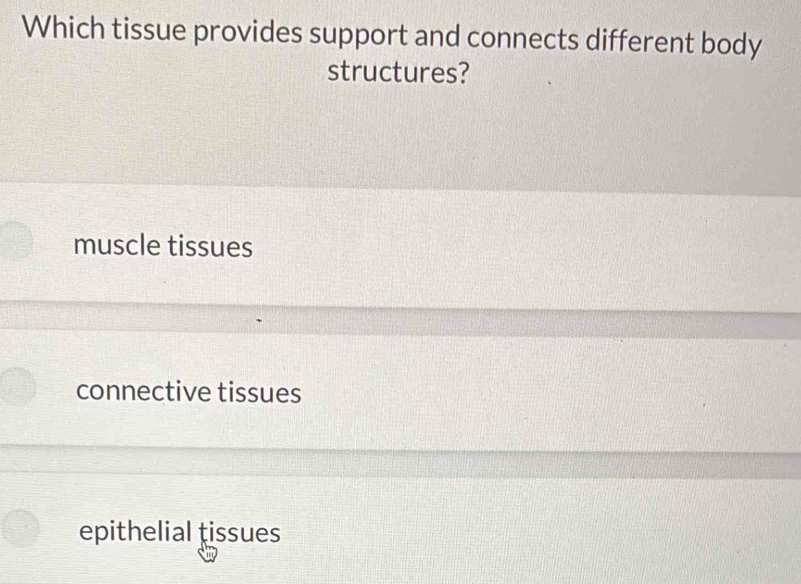 Which tissue provides support and connects different body
structures?
muscle tissues
connective tissues
epithelial tissues