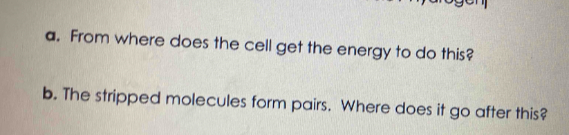 From where does the cell get the energy to do this? 
b. The stripped molecules form pairs. Where does it go after this?