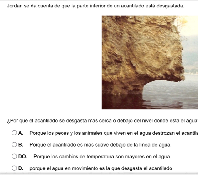 Jordan se da cuenta de que la parte inferior de un acantilado está desgastada.
¿Por qué el acantilado se desgasta más cerca o debajo del nivel donde está el agua
A. Porque los peces y los animales que viven en el agua destrozan el acantila
B. Porque el acantilado es más suave debajo de la línea de agua.
DO. Porque los cambios de temperatura son mayores en el agua.
D. porque el agua en movimiento es la que desgasta el acantilado