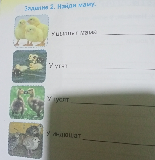 Задание 2. Найди маму. 
Уцыллят мама_ 
Y ytяt_ 
_ 
У гуcят 
_ 
У индюошат