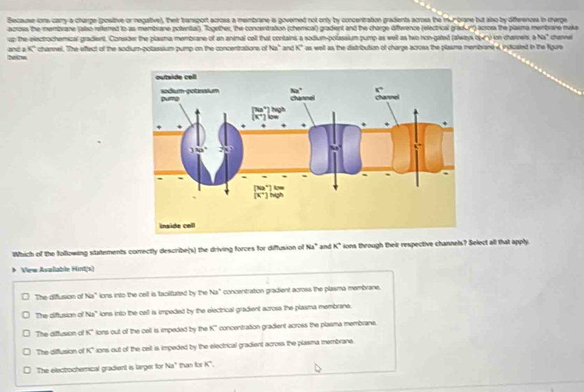 Because ions carry a charrge (positive or megative), their bransport across, a mambrane is governed not only by concenitration gradients across the mnorane but also by differencea in charge
across the membrane (also referred to as membrane polental). Together, the concentration (chemical) gradient and the charge difference (electrical gradu') acros the plasma membrane make
up the electrochemical gradient, Consider the plassma membrane of an animul cell that contains a sodium-polassium pump as well as two non-gated (always 64) on charnets, a Na" charw
and a K' channel. The effect of the sadium-potassium pump on the concentrations of Na' and K° as well as the distribution of charge across the plasme membrane 4 indicated in the figure
Which of the following statements correctly describe(s) the driving forces for diffusion of Na* and K° ions through their respective channels? Select all that apply.
Virw Avaïlable Hint(s)
The diflusion of Na" ions into the cell is tacilitated by the Na" concentration gradient across the plasma membrane.
The diftusion of Na" ions into the call is impeded by the electrical gradient across the plasma membrane.
The diffusion of K° ions out of the cell is impeded by the K ' concentration gradient across the plasma membrane.
The diflusion of K" ions out of the cell is impeded by the electrical gradient across the plasma membrane.
The electrochemical gradient is larger for v_1 * Pan for K".