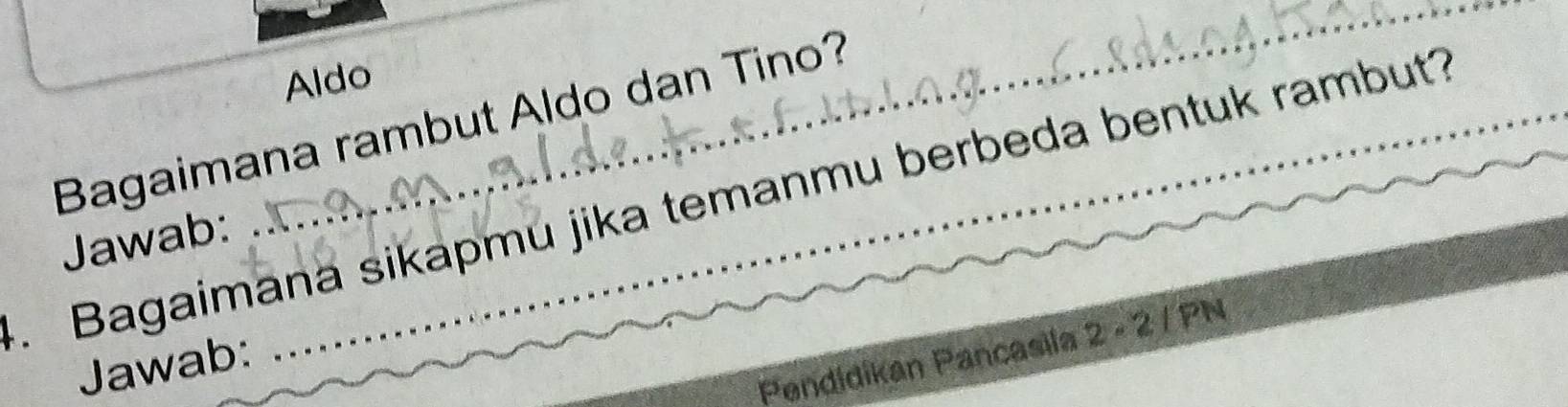 Aldo 
Bagaimana rambut Aldo dan Tino? 
. Bagaimana sikapmu jika temanmu berbeda bentuk rambut? 
Jawab: 
_ 
Pendidikan Pancasila 2 - 2 / PN
Jawab: