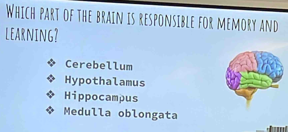 Which part of the brain is responsible for memory and
learning?
Cerebellum
Hypothalamus
Hippocampus
Medulla oblongata