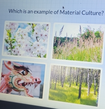 Which is an example of Material Culture?