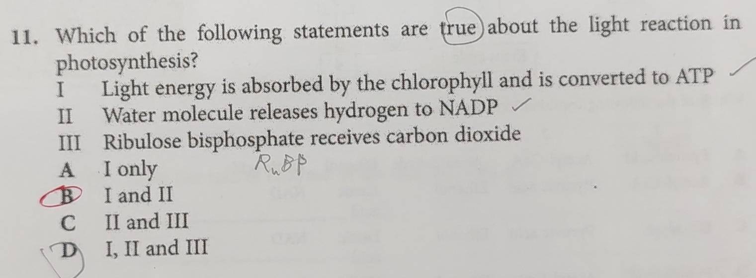 Which of the following statements are true)about the light reaction in
photosynthesis?
I Light energy is absorbed by the chlorophyll and is converted to ATP
II Water molecule releases hydrogen to NADP
III Ribulose bisphosphate receives carbon dioxide
A I only
B I and II
C II and III
D I, II and III