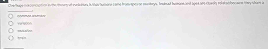 One huge misconception in the theory of evolution, is that humans came from apes or monkeys. Instead humans and apes are closely related because they share a
_
S
common ancestor
sarbein
mutation
brain