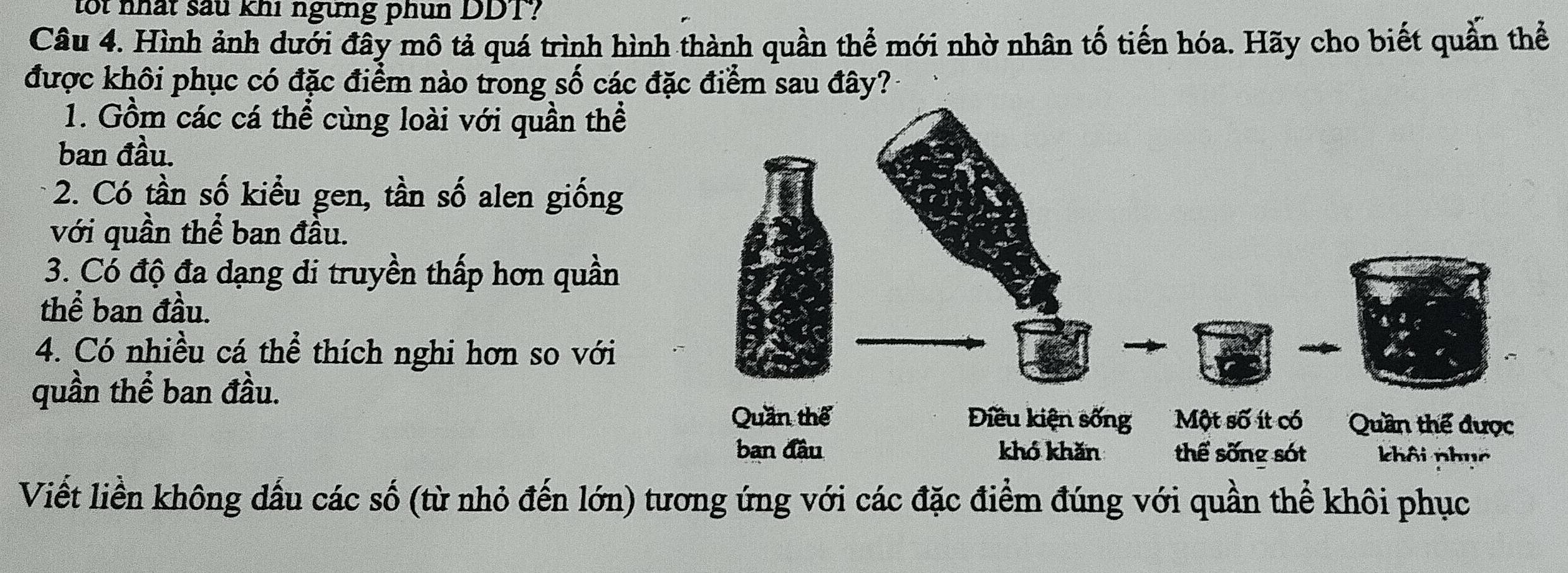 lot nhất sau khi ngừng phun DDT? 
Câu 4. Hình ảnh dưới đây mô tả quá trình hình thành quần thể mới nhờ nhân tố tiến hóa. Hãy cho biết quần thể 
được khôi phục có đặc điểm nào trong số các đặc điểm sau đây? 
1. Gồm các cá thể cùng loài với quần thể 
ban đầu. 
2. Có tần số kiểu gen, tần số alen giống 
với quần thể ban đầu. 
3. Có độ đa dạng di truyền thấp hơn quần 
thể ban đầu. 
4. Có nhiều cá thể thích nghi hơn so với 
quần thể ban đầu. 
ban đầu khổ khăn thể sống sót khôi phục 
Viết liền không dấu các số (từ nhỏ đến lớn) tương ứng với các đặc điểm đúng với quần thể khôi phục