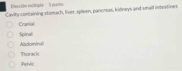 Elección múltiple 1 punto
Cavity containing stomach, liver, spleen, pancreas, kidneys and small intestines
Cranial
Spinal
Abdominal
Thoracic
Pelvic