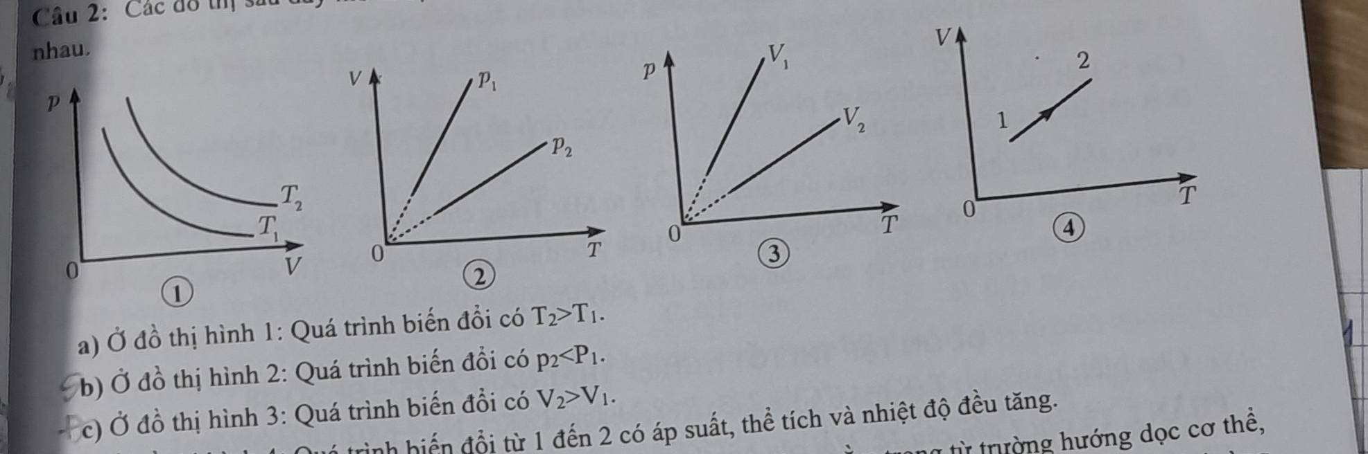 Các đô thị ĩ
nhau.
2
V
p_1
1
p_2
0
T
④
T
0
2
1
a) Ở đồ thị hình 1: Quá trình biến đổi có T_2>T_1.
b) Ở đồ thị hình 2: Quá trình biến đổi có p_2
c) Ở đồ thị hình 3: Quá trình biến đồi có V_2>V_1.
Trình hiến đổi từ 1 đến 2 có áp suất, thể tích và nhiệt độ đều tăng.
tg từ trường hướng dọc cơ thê,