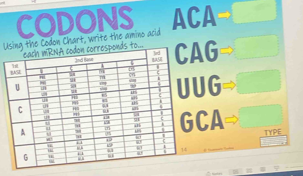 ot 
CODONS ACA 
UCodon Chart, write the amino acid 
G 
UG 
CA 
TYPE 
Notes