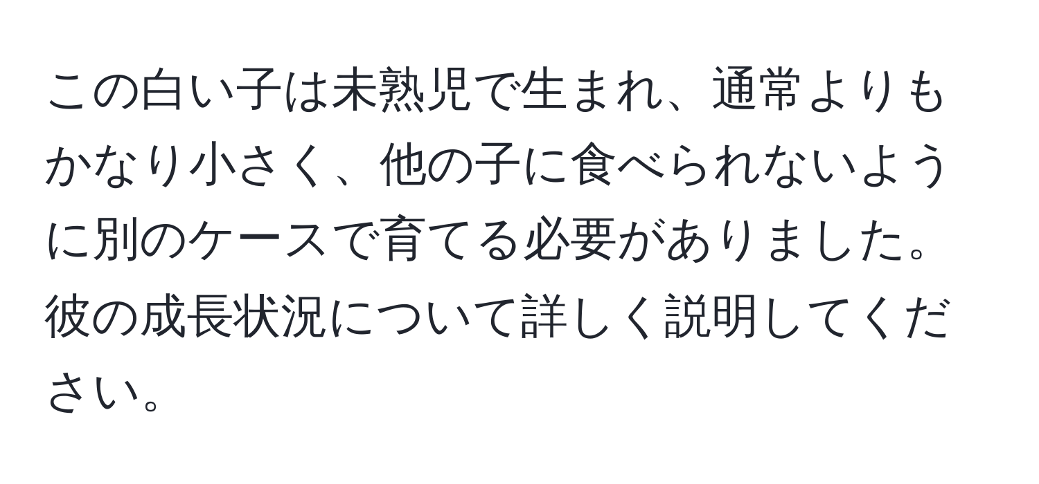 この白い子は未熟児で生まれ、通常よりもかなり小さく、他の子に食べられないように別のケースで育てる必要がありました。彼の成長状況について詳しく説明してください。