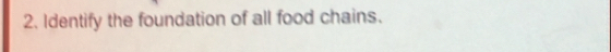 Identify the foundation of all food chains.