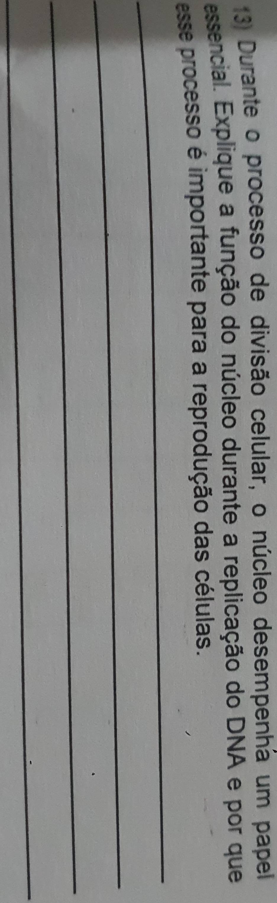 Durante o processo de divisão celular, o núcleo desempenha um papel 
essencial. Explique a função do núcleo durante a replicação do DNA e por que 
_ 
esse processo é importante para a reprodução das células. 
_ 
_ 
_