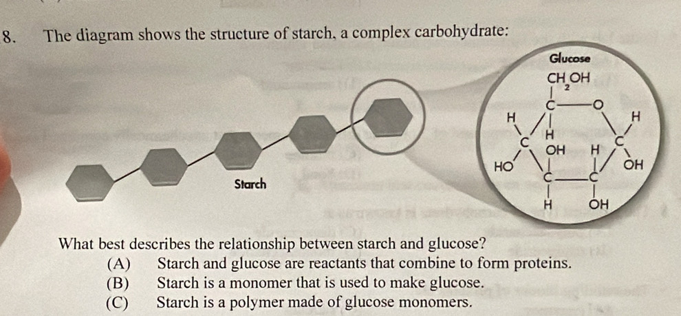 Solved: The diagram shows the structure of starch, a complex ...