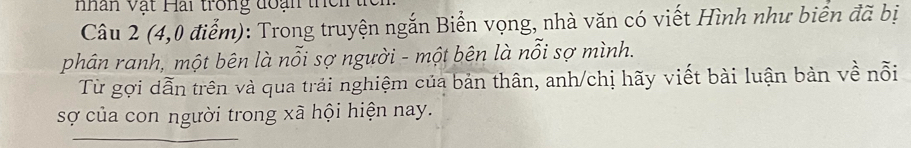 nhân vật Hai trong đoạn the n 
Câu 2 (4,0 điểm): Trong truyện ngắn Biển vọng, nhà văn có viết Hình như biên đã bị 
phân ranh, một bên là nỗi sợ người - một bên là nỗi sợ mình. 
Từ gợi dẫn trên và qua trải nghiệm của bản thân, anh/chị hãy viết bài luận bản về nỗi 
sợ của con người trong xã hội hiện nay. 
_