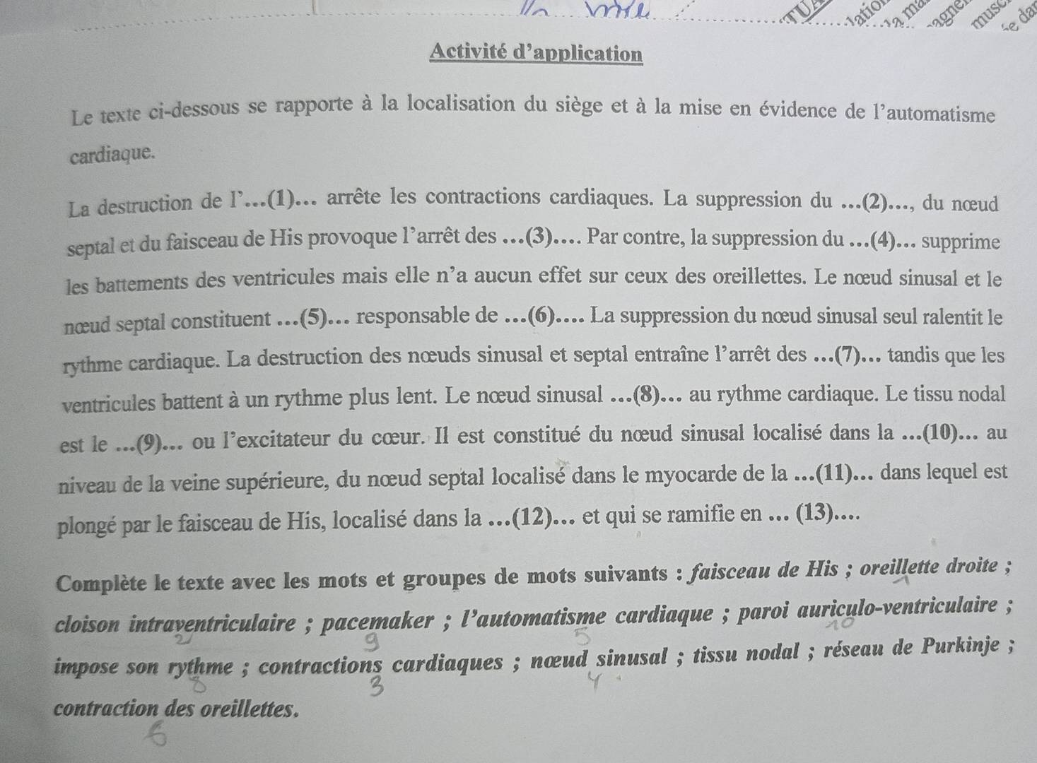 ama
lation
muse
vagner
se da
Activité d’application
Le texte ci-dessous se rapporte à la localisation du siège et à la mise en évidence de l'automatisme
cardiaque.
La destruction de l'...(1)... arrête les contractions cardiaques. La suppression du ...(2)..., du nœud
septal et du faisceau de His provoque l’arrêt des …(3)... Par contre, la suppression du ..(4)... supprime
les battements des ventricules mais elle n’a aucun effet sur ceux des oreillettes. Le nœud sinusal et le
nœud septal constituent ..(5).. responsable de .(6).... La suppression du nœud sinusal seul ralentit le
rythme cardiaque. La destruction des nœuds sinusal et septal entraîne l’arrêt des ...(7)... tandis que les
ventricules battent à un rythme plus lent. Le nœud sinusal ..(8).. au rythme cardiaque. Le tissu nodal
est le ...(9)... ou l’excitateur du cœur. Il est constitué du nœud sinusal localisé dans la ...(10)... au
niveau de la veine supérieure, du nœud septal localisé dans le myocarde de la ...(11)... dans lequel est
plongé par le faisceau de His, localisé dans la ...(12).. et qui se ramifie en ... (13)....
Complète le texte avec les mots et groupes de mots suivants : faisceau de His ; oreillette droite ;
cloison intraventriculaire ; pacemaker ; l’automatisme cardiaque ; paroi auriculo-ventriculaire ;
impose son rythme ; contractions cardiaques ; nœud sinusal ; tissu nodal ; réseau de Purkinje ;
contraction des oreillettes.