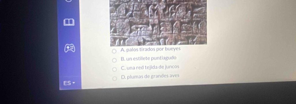 B. un estilete puntiagudo
C. una red tejida de juncos
D. plumas de grandes aves
s