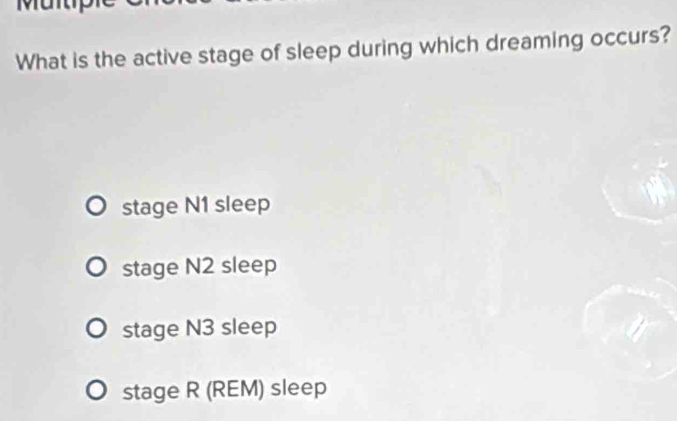 Müi
What is the active stage of sleep during which dreaming occurs?
stage N1 sleep
stage N2 sleep
stage N3 sleep
stage R (REM) sleep