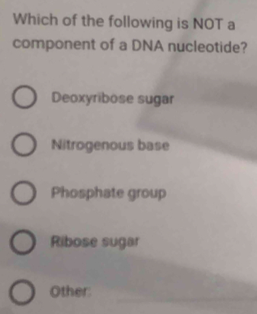 Which of the following is NOT a
component of a DNA nucleotide?
Deoxyribose sugar
Nitrogenous base
Phosphate group
Ribose sugar
Other:
_
_