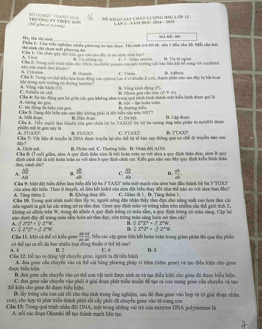 SỞ GD&ĐT THANH HOẢ đề khảo sát chát lượnG HSG Lớp 12
trườNG PT TRIệU SơN
(Để gồm có 6 trang)
LÂN 2 - NĂM HỌC 2024 - 2025
Họ, tên thí sinh_ mã đẻ: 001
Phần I: Câu trắc nghiệm nhiều phương án lựa chọn. Thí sinh trả lời từ câu 1 đến câu 20. Mỗi câu hỏi
thí sinh chỉ chọn một phương án.
Câu 1: Tác nhân gây đột biển gen nào sau đây là tác nhân sinh học?
A. Virut. B. Tia phóng xạ. C. 5 - brôm uraxin. D. Tia tử ngoại.
Câu 2: Trong quá trình nhân đội DNA, nuclêôtit guanin của môi trường nội bào liên kết bổ sung với nuclêôtit
nào của mạch làm khuôn?
A. Cytosine. B. Guanin. C. Timin. D. Ađênin.
Câu 3: Trong cơ chế điều hòa hoạt động của opêron Lac ở vi khuẩn E.coli, thành phần nào sau đây bị bất hoạt
khi trong môi trường có đường lactôzo?
A. Vùng vận hành (O). B. Vùng khởi động (P).
C. Prôtêin ức chế. D. Nhóm gen cầu trúc (Z-Y-A).
Câu 4: Sự tác động qua lại giữa các gen không alen trong quá trình hình thành một kiểu hình được gọi là
A. tương tác gen. B. trội - lặn hoàn toàn.
C. tác động đa hiệu của gen. D. thường biến.
Câu 5: Dạng đột biến nào sau đây không phải là đột biến cầu trúc NST?
A. Mất đoạn. B. Đảo đoạn. C. Đa bội. D. Lặp đoạn.
Câu 6. Nếu mạch làm khuôn của gen chứa bộ ba 3'AXG5' thì bộ ba tương ứng trên phân tử mARN được
phiên mã từ gen này là
A. 3' UA* 5
B. 5'UGX3'. C. 5'TAX3'. D. 3'TAX5'.
Câu 7: Vật liệu di truyền là DNA được truyền lại cho thế hệ tế bào sau thông qua cơ chế di truyền nào sau
đây?
A. Dịch mã. B. Phiên mã. C. Thường biến. D. Nhân đôi ADN.
Câu 8: Ở ruồi giấm, alen A quy định thân xám là trội hoàn toàn so với alen a quy định thân đen; alen B quy
định cánh dài là trội hoàn toàn so với alen b quy định cánh cụt. Kiểu gen nào sau đây quy định kiểu hình thân
đen, cánh dài?
A.  AB/AB . frac _ aBaB. C.  Ab/Ab . D.  ab/ab .
B.
Câu 9: Một đột biến điểm làm biến đổi bộ ba 3'TAX5' trên một mạch của alen ban đầu thành bộ ba 3'TGX5'
của alen đột biến. Theo lí thuyết, số liên kết hiđrô của alen đột biến thay đổi như thế nào so với alen ban đầu?
A. Tăng thêm 2. B. Không thay đổi. C. Giảm đi 1. D. Tăng thêm 1.
Câu 10. Trong quá trình nuôi tằm lấy tơ, người nông dân nhận thấy tằm đực cho năng suất cao hơn tằm cái
nên người ta giữ lại các trứng nở ra tằm đực. Gene quy định màu vỏ trứng nằm trên nhiễm sắc thể giới tính Z,
không có allele trên W, trong đó allele A quy định trứng có màu sẫm, a quy định trứng có màu sáng. Cặp lai
nào dưới đây để trứng màu sẫm luôn nở tằm đực, còn trứng màu sáng luôn nở tằm cái?
A. delta Z^aZ^a* varphi Z^AZ^AW. B. QZ^AZ^A* _O^((wedge)Z^a)W.
C. QZ^AZ^a* _OZ^aW. D. QZ^AZ^a*  ^wedge Z^AW.
Câu 11. Một cá thể có kiểu gene  AB/ab  DE/dE . Nếu các cặp gene liên kết hoàn toàn trong giảm phân thì qua thụ phần
có thể tạo ra tối đa bao nhiêu loại dòng thuần ở thế hệ sau?
A. 4 B. 2 C. 6 D. 8
Câu 12. Để tạo ra động vật chuyển gene, người ta đã tiến hành
A. đưa gene cần chuyềển vào cá thể cái bằng phương pháp vi tiêm (tiêm gene) và tạo điều kiện cho gene
được biểu hiện.
B. đưa gene cần chuyển vào cơ thể con vật mới được sinh ra và tạo điều kiện cho gene đó được biểu hiện.
C. đưa gene cần chuyển vào phôi ở giai đoạn phát triển muộn để tạo ra con mang gene cần chuyển và tạo
điề kiện cho gene đó được biểu hiện.
D. lấy trứng của con cái rồi cho thụ tinh trong ống nghiệm, sau đó đưa gene vào hợp tử (ở giai đoạn nhân
con), cho hợp tử phát triển thành phôi rồi cấy phôi đã chuyển gene vào tử cung con
Câu 13: Trong quá trình nhân đôi DNA, một trong những vai trò của enzyme DNA polymerase là
A. nổi các đoạn Okazaki để tạo thành mạch liên tục.
