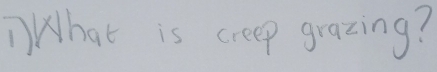 What is creep grazing?