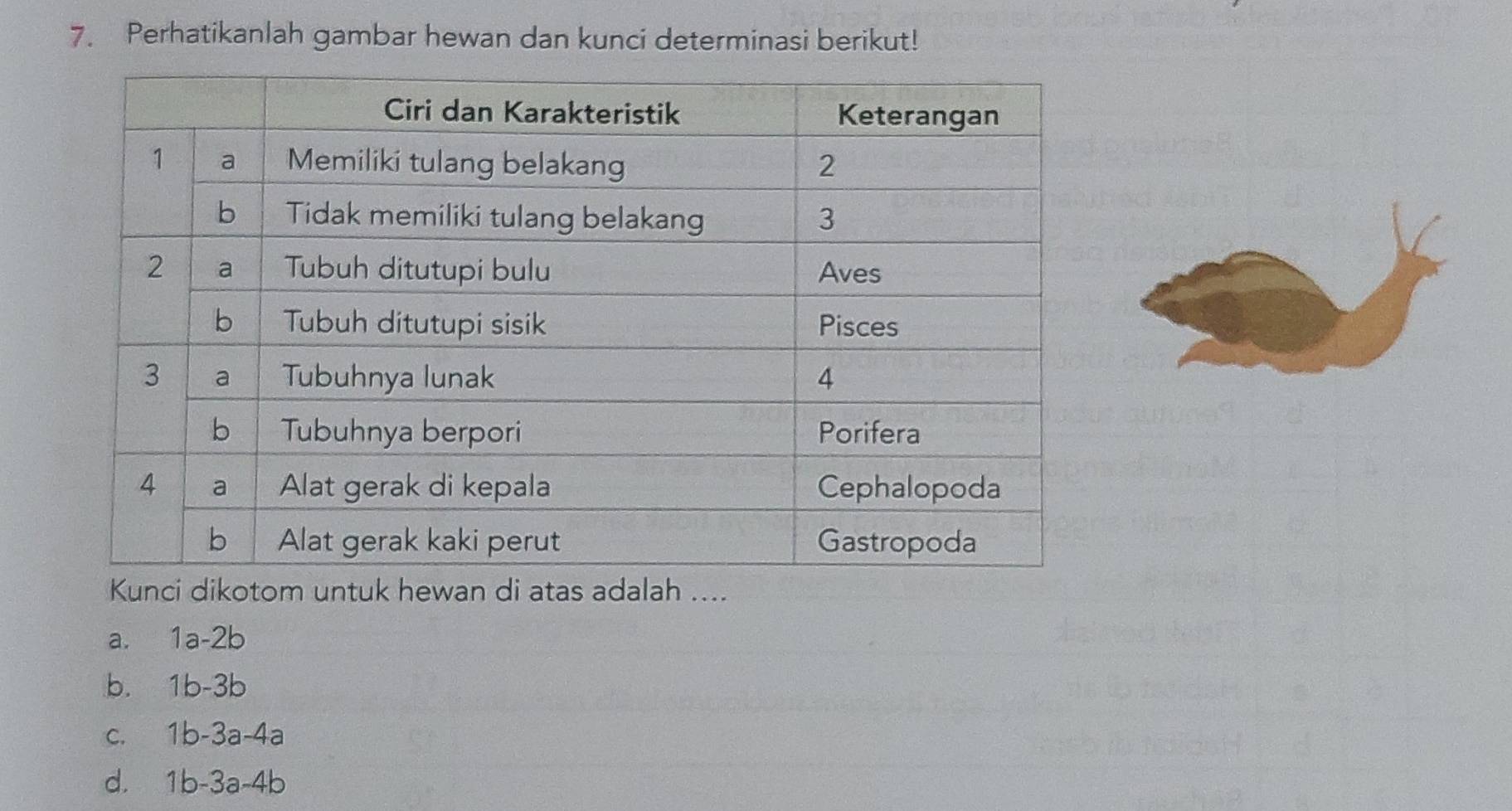 Perhatikanlah gambar hewan dan kunci determinasi berikut!
Kunci dikotom untuk hewan di atas adalah ....
a. 1a-2b
b. 1b-3b
c. 1b-3a-4a
d. 1 b -3a-4b