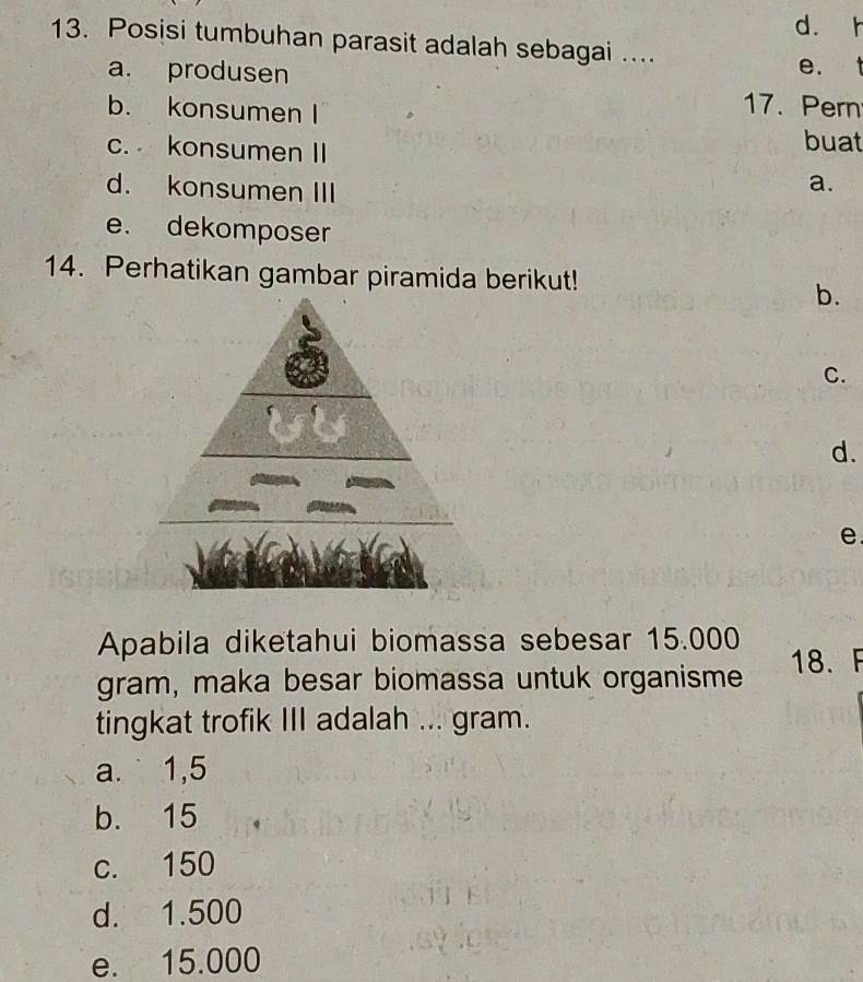 d. h
13. Posisi tumbuhan parasit adalah sebagai ....
e. t
a. produsen 17. Pern
b. konsumen I
c. konsumen II buat
d. konsumen III
a.
e. dekomposer
14. Perhatikan gambar piramida berikut!
b.
C.
d.
e.
Apabila diketahui biomassa sebesar 15.000
gram, maka besar biomassa untuk organisme 18. F
tingkat trofik III adalah ... gram.
a. 1,5
b. 15
c. 150
d. 1.500
e. 15.000