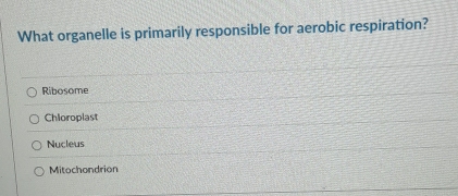 What organelle is primarily responsible for aerobic respiration?
Ribosome
Chioroplast
Nucleus
Mitochondrion