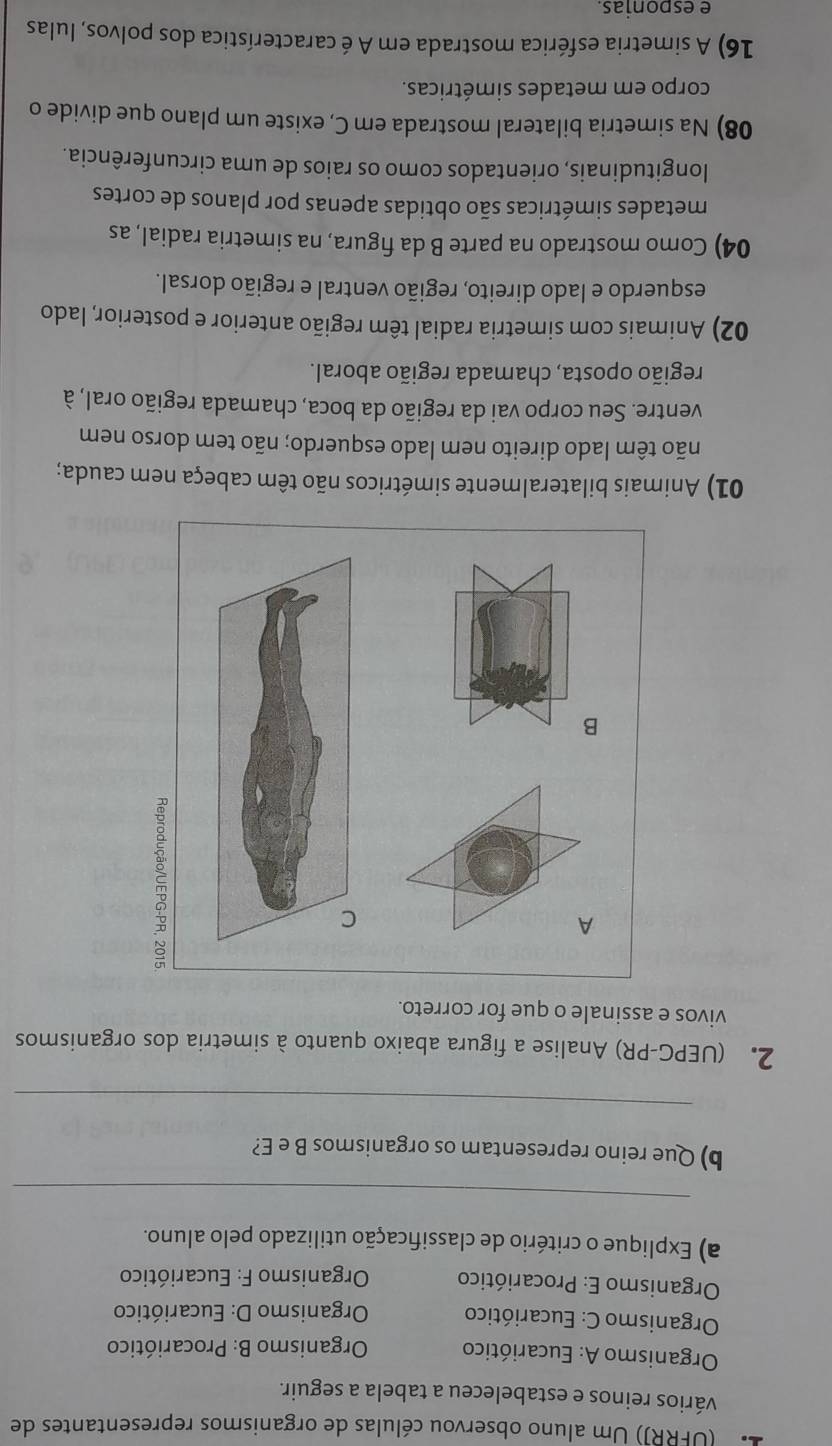 ' '' (UFRR)) Um aluno observou células de organismos representantes de
vários reinos e estabeleceu a tabela a seguir.
Organismo A: Eucariótico Organismo B: Procariótico
Organismo C: Eucariótico Organismo D: Eucariótico
Organismo E: Procariótico Organismo F: Eucariótico
a) Explique o critério de classificação utilizado pelo aluno.
_
b) Que reino representam os organismos B e E?
_
2. (UEPG-PR) Analise a figura abaixo quanto à simetria dos organismos
vivos e assinale o que for correto.
A
C

B
01) Animais bilateralmente simétricos não têm cabeça nem cauda;
não têm lado direito nem lado esquerdo; não tem dorso nem
ventre. Seu corpo vai da região da boca, chamada região oral, à
região oposta, chamada região aboral.
02) Animais com simetria radial têm região anterior e posterior, lado
esquerdo e lado direito, região ventral e região dorsal.
04) Como mostrado na parte B da figura, na simetria radial, as
metades simétricas são obtidas apenas por planos de cortes
longitudinais, orientados como os raios de uma circunferência.
08) Na simetria bilateral mostrada em C, existe um plano que divide o
corpo em metades simétricas.
16) A simetria esférica mostrada em A é característica dos polvos, lulas
e esponias