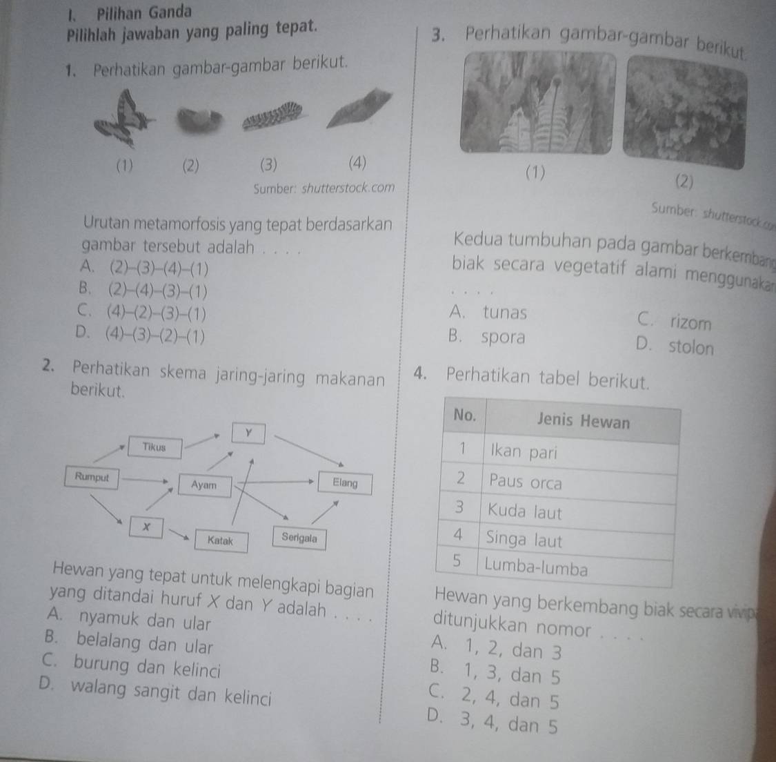 Pilihan Ganda
Pilihlah jawaban yang paling tepat.
3. Perhatikan gambar-gambar ber
1. Perhatikan gambar-gambar berikut.
(1) (2) (3) (4)
(1)
Sumber: shutterstock.com
(2)
Sumber: shutterstock o
Urutan metamorfosis yang tepat berdasarkan
Kedua tumbuhan pada gambar berkemban
gambar tersebut adalah . . . . biak secara vegetatif alami menggunaka
A. (2)-(3)-(4)-(1)
B. (2)-(4)-(3)-(1)
C. . (4)-(2)-(3)-(1) A. tunas
C. rizom
D. (4)-(3)-(2)-(1) B. spora
D. stolon
2. Perhatikan skema jaring-jaring makanan 4. Perhatikan tabel berikut.
berikut. 


Hewan yang tepat untuk melengkapi bagian wan yang berkembang biak secara vivip
yang ditandai huruf X dan Y adalah . . . . ditunjukkan nomor . . . .
A. nyamuk dan ular A. 1, 2, dan 3
B. belalang dan ular B. 1, 3, dan 5
C. burung dan kelinci
C. 2, 4, dan 5
D. walang sangit dan kelinci D. 3, 4, dan 5