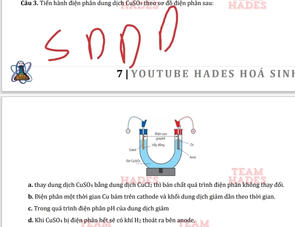 Tiến hành điện phân dung dịch CuSO4 theo sơ đồ điện phân sau: HADES
7| YO UT UBE HADES HO hat A SINE
TEAM
a. thay dung dịch Cu SO_4 - bằng dung dịch CuCl₂ thì bản chất quá trình điện phân không thay đổi.
b. Điện phân một thời gian Cu bám trên cathode và khối dung dịch giảm dần theo thời gian.
c. Trong quá trình điện phân pH của dung dịch giảm
d. Khi CuS 0_4 4 bị điện phân hết sẽ có khí H_2 thoát ra bên anode.